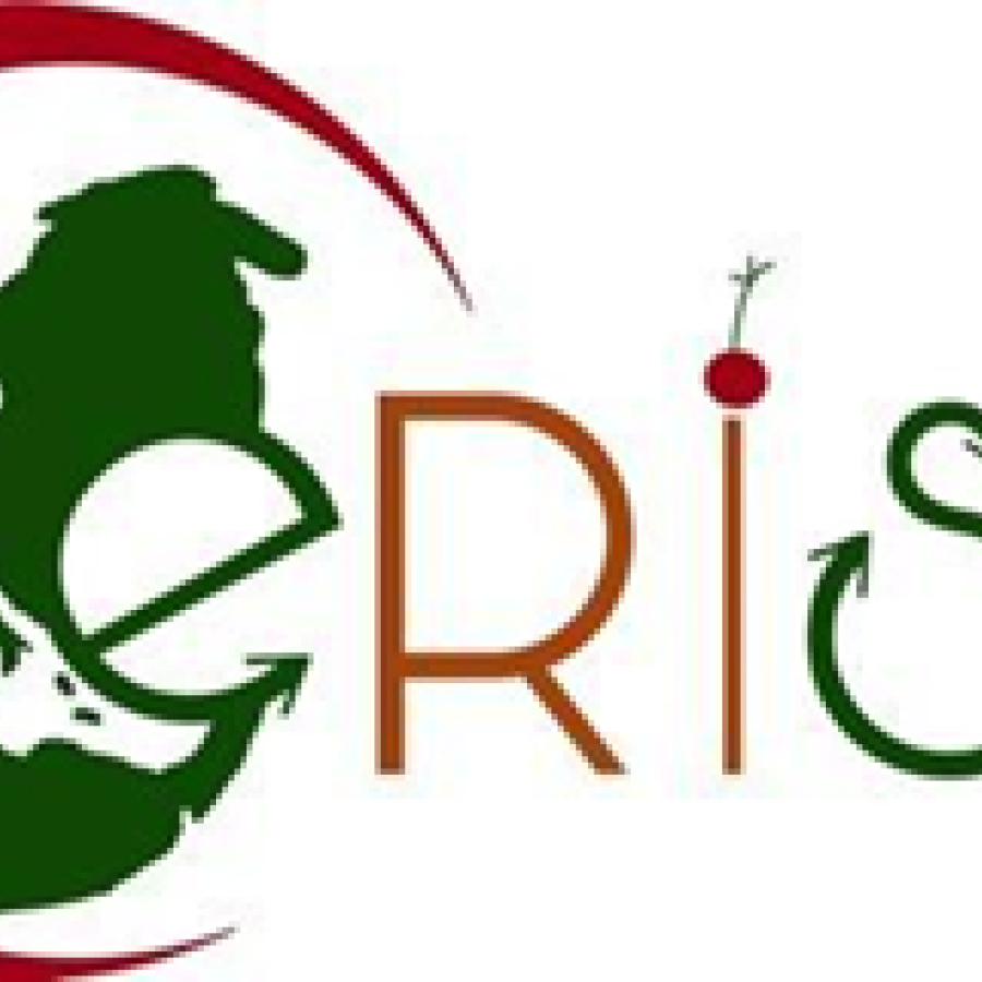 CERISE project logo